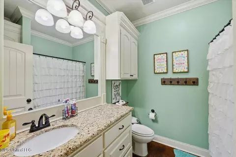 Bath - 404 Winterfield Way, Brandon, MS 39042 photo 4 of 4
