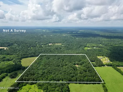 55 Amacker Rd, Poplarville, MS 39470