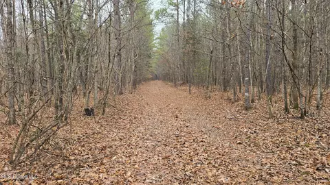 Brown Road, Starkville, MS 39759