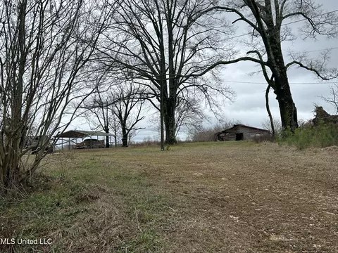 3677 Old Hillsboro Rd, Forest, MS 39074