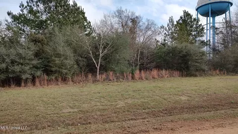 N Resort Drive, Lumberton, MS 39455
