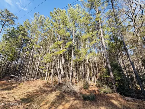 Mallard Trail, Summit, MS 39666 photo 3