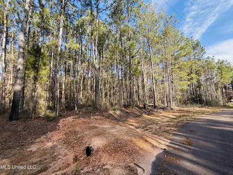Mallard Trail, Summit, MS 39666 photo 4