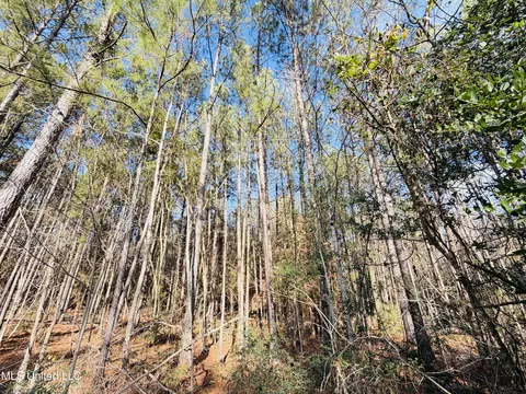 Mallard Trail, Summit, MS 39666