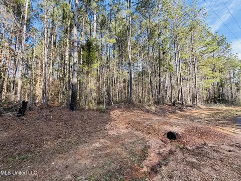 Mallard Trail, Summit, MS 39666 photo 2
