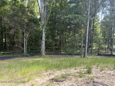 Other - 112 Cross Wind Dr, Flora, MS 39071 photo 1 of 4