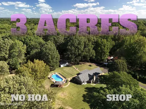 6650 Scenic Hollow Rd, Walls, MS 38680