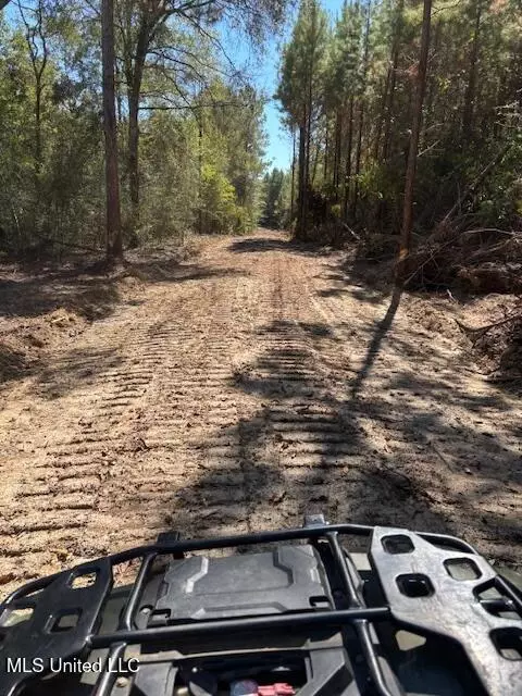 O'banner Loop, Brooklyn, MS 39425 photo 8