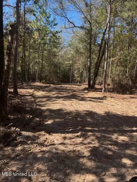 O'banner Loop, Brooklyn, MS 39425 photo 3
