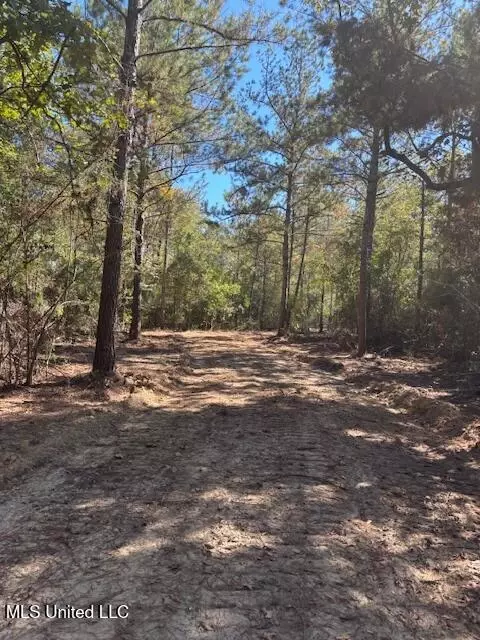 O'banner Loop, Brooklyn, MS 39425 photo 7