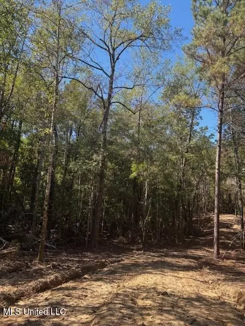 O'banner Loop, Brooklyn, MS 39425 photo 5