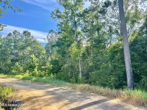 1 62 Acres Ferrell Ln, Leakesville, MS 39451