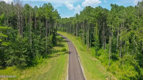 Springwood Trail, Flora, MS 39071