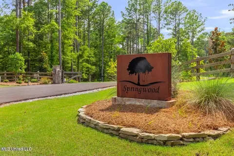 Springwood Trail, Flora, MS 39071 photo 3