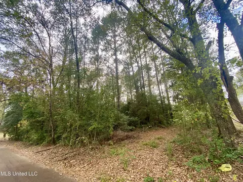 800 Jackson Ave, Mccomb, MS 39648 photo 3