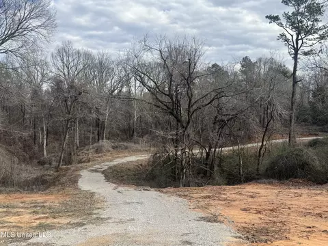 1761 Ms-7, Holly Springs, MS 38635