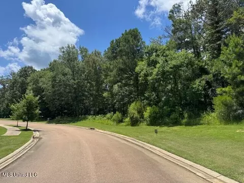 131 Stone Lake Dr, Madison, MS 39110 photo 6