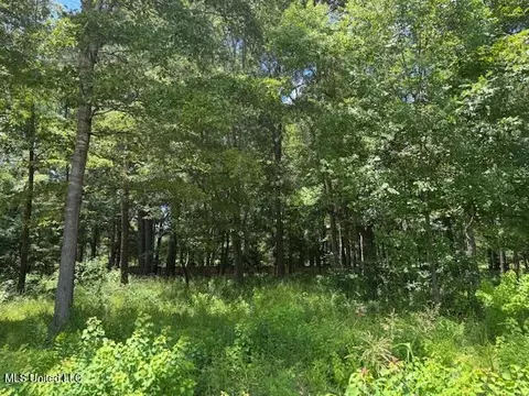 131 Stone Lake Dr, Madison, MS 39110 photo 5
