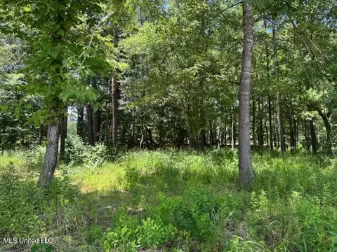 131 Stone Lake Dr, Madison, MS 39110 photo 3