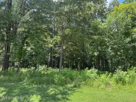 131 Stone Lake Dr, Madison, MS 39110 photo 4