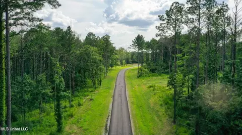 Springwood Trail, Flora, MS 39071 photo 24