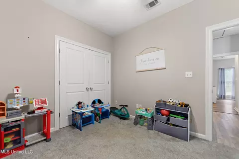 Other - 116 H M Blair Ln, Lucedale, MS 39452 photo 6 of 10