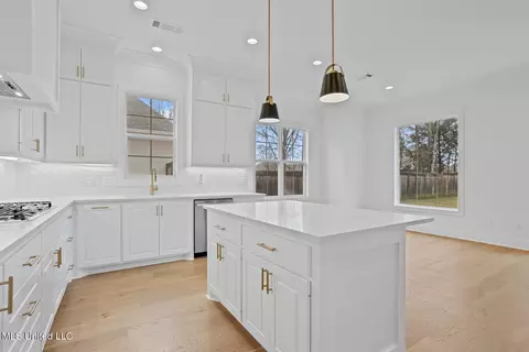 Kitchen - 123 Paylors Way, Madison, MS 39110 photo 3 of 4