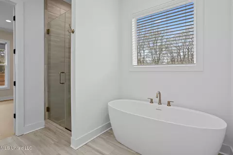 Bath - 123 Paylors Way, Madison, MS 39110 photo 3 of 6