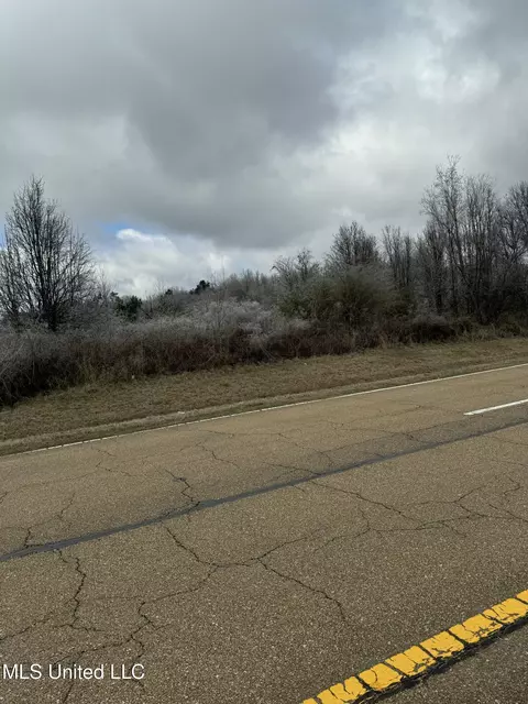 Sowell Road, Canton, MS 39046 photo 5