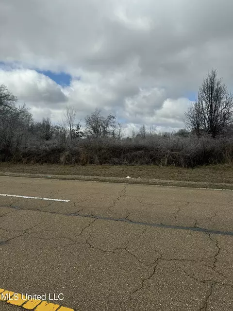Sowell Road, Canton, MS 39046 photo 4