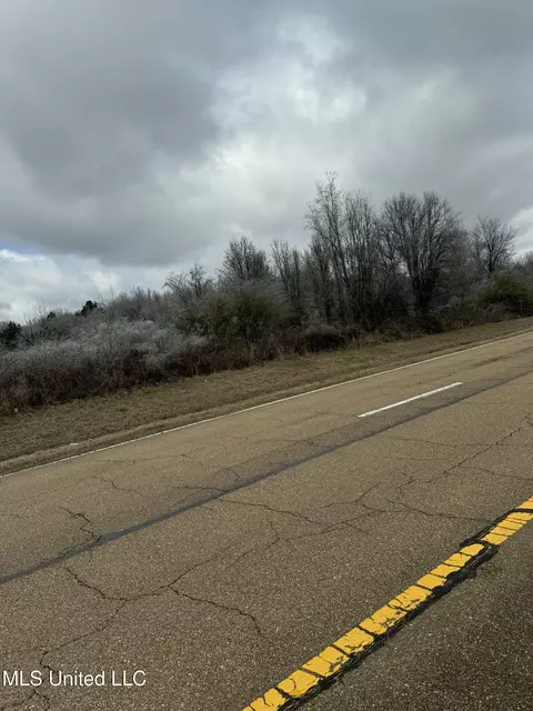 Sowell Road, Canton, MS 39046 photo 6
