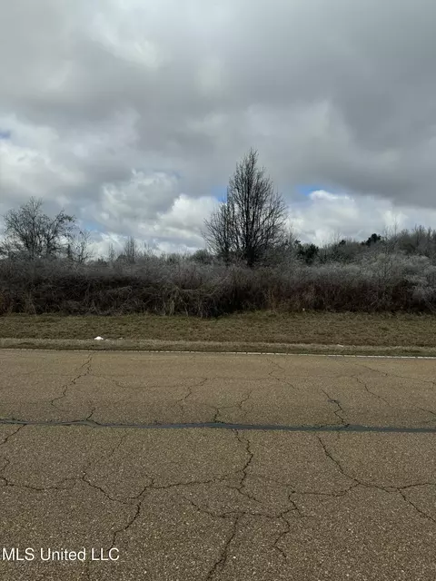 Sowell Road, Canton, MS 39046 photo 3