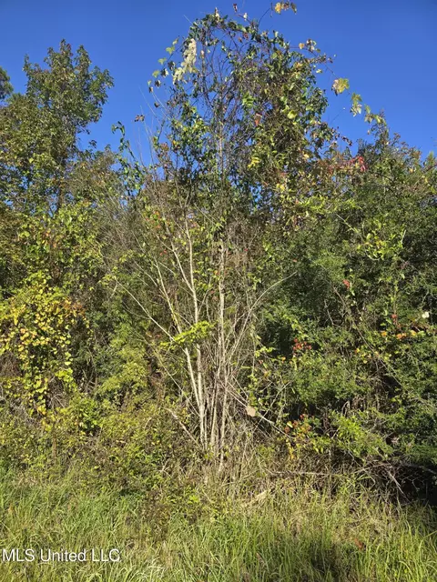 Jim Ramsey Cutoff Road, Vancleave, MS 39565