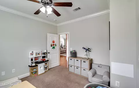 Other - 205 E Toulon St, Brandon, MS 39042 photo 6 of 7