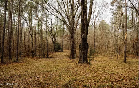 0 Warren Hood Rd, Hermanville, MS 39086