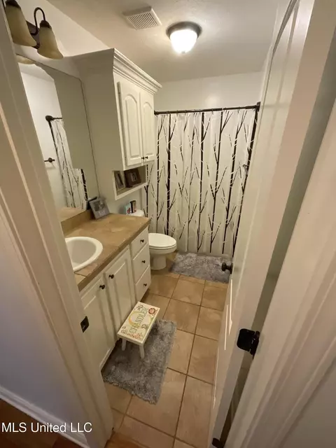 Bath - 135 Palin Dr, Madison, MS 39110 photo 3 of 3