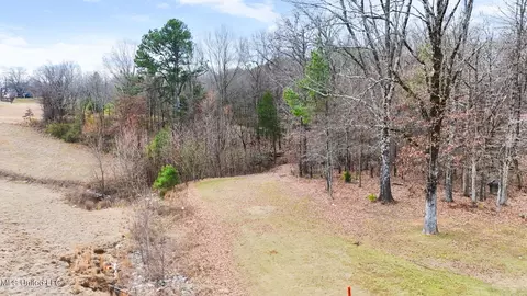 N Us-51, Nesbit, MS 38651 photo 6