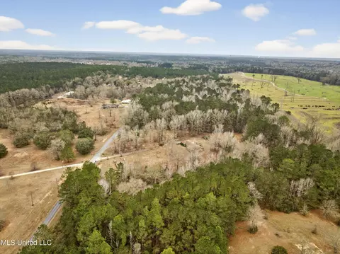 View/Area - 62 Derrick Rd, Wiggins, MS 39577 photo 4 of 5