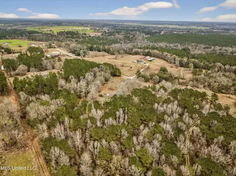 View/Area - 62 Derrick Rd, Wiggins, MS 39577 photo 3 of 5