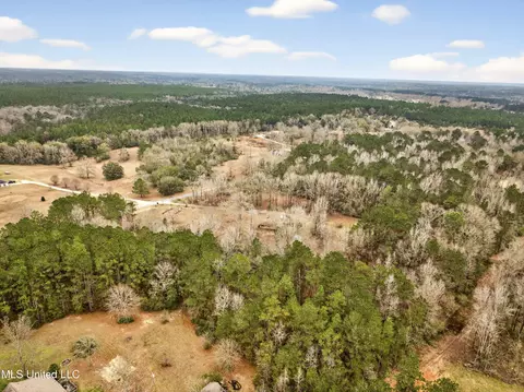 View/Area - 62 Derrick Rd, Wiggins, MS 39577 photo 2 of 5