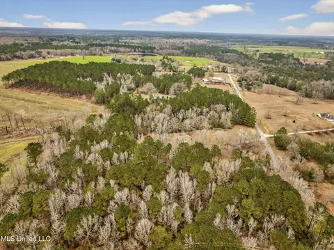 View/Area - 62 Derrick Rd, Wiggins, MS 39577 photo 5 of 5