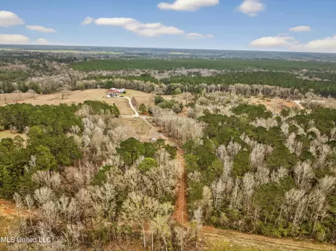 View/Area - 62 Derrick Rd, Wiggins, MS 39577 photo 1 of 5