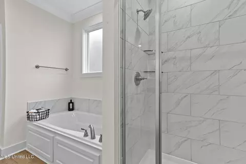 Bath - 317 Hamilton Ct, Brandon, MS 39047 photo 1 of 5