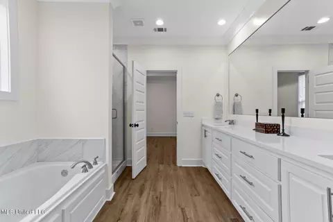 Bath - 317 Hamilton Ct, Brandon, MS 39047 photo 2 of 5