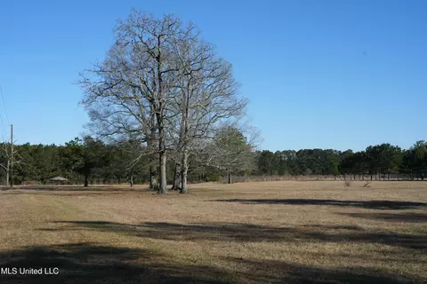 1082 Double M, Summit, MS 39666 photo 6