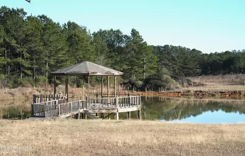 1082 Double M, Summit, MS 39666 photo 30