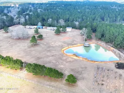 1082 Double M, Summit, MS 39666 photo 2