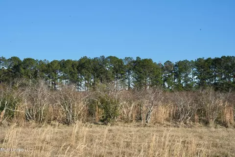 1082 Double M, Summit, MS 39666 photo 32