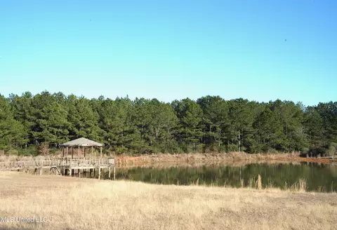 1082 Double M, Summit, MS 39666 photo 31