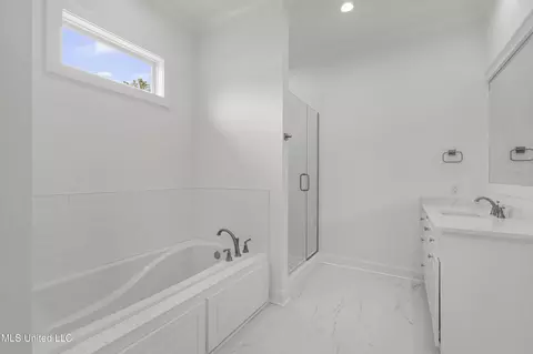 Bath - 373 Wellstone Pl, Madison, MS 39110 photo 3 of 5